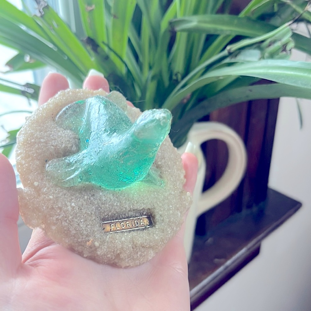 Vintage SeaWorld Sea Lion 🦭 Florida Souvenir